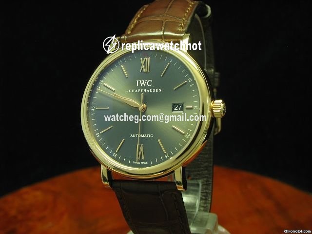 IWC Portofino Automatic Mens watch Unisex Automatic 3565  IW356504