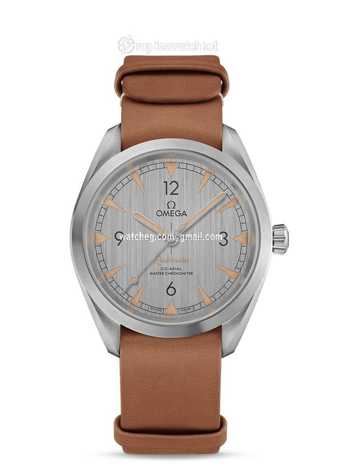 Omega Seamaster Railmaster Mens watch Unisex Automatic Steel 220.12.40.20.06.001