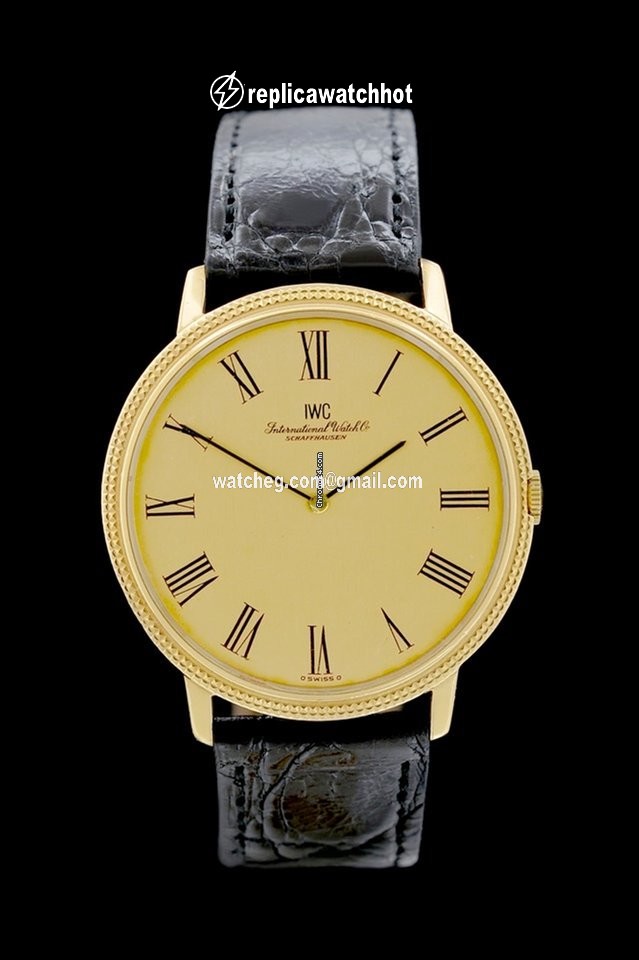 IWC Mens watch Unisex Manual winding Yellow gold 2006