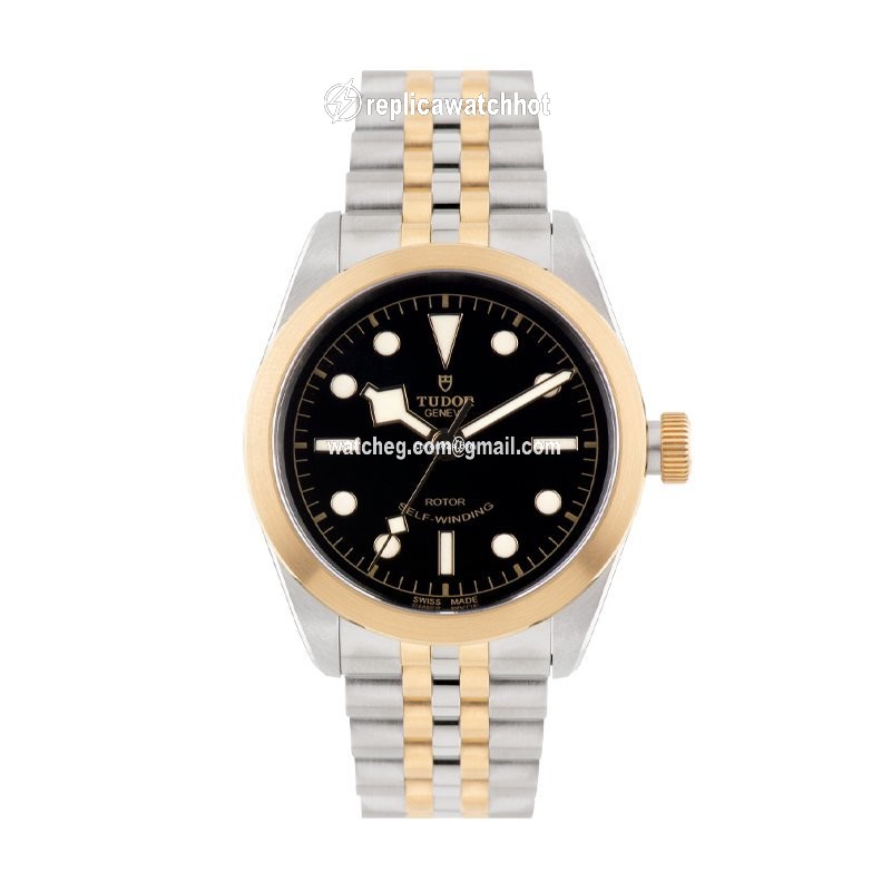 Tudor Mens watch Unisex Automatic Gold Steel M79503-0001