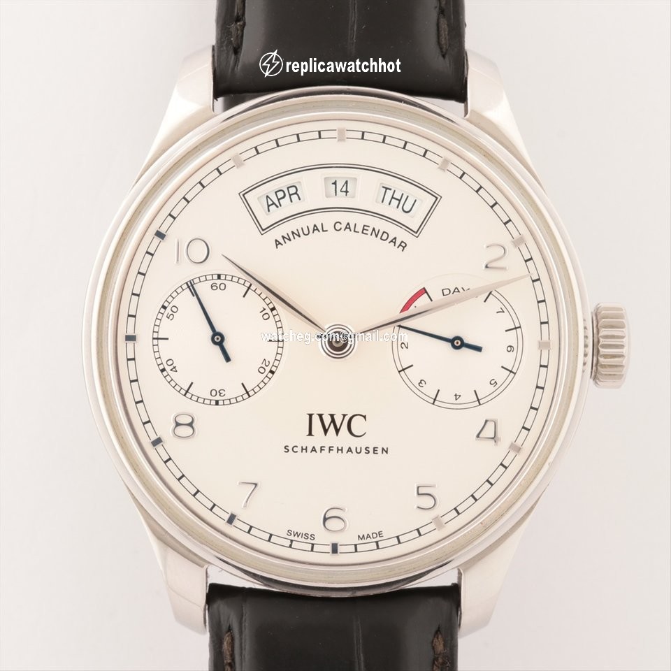IWC Portuguese Annual Calendar Mens watch Unisex Automatic Steel IW503501