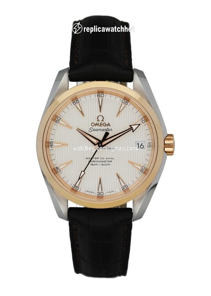 Omega Seamaster Aqua Terra Mens watch Unisex Automatic Steel 231.23.42.21.02.001