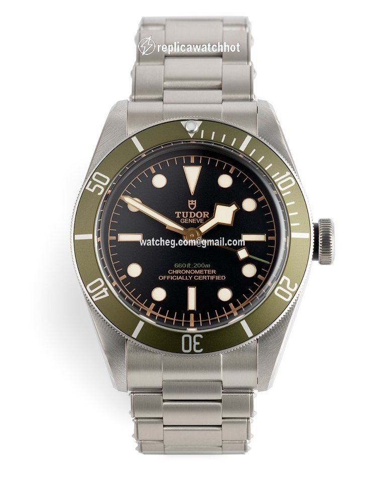 Tudor Black Bay Automatic Steel 79230G