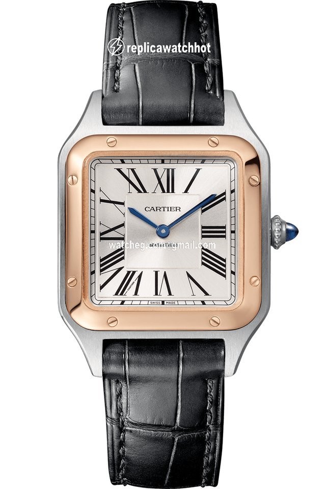 Cartier Santos Dumont Mens watch Unisex Quartz Gold Steel W2SA0012