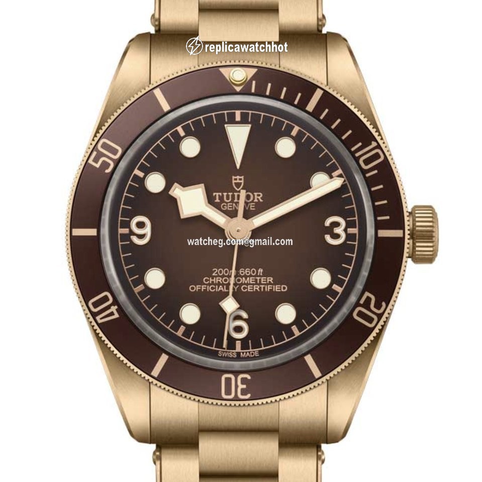 Tudor Mens watch Unisex Automatic Bronze M79012M-0001