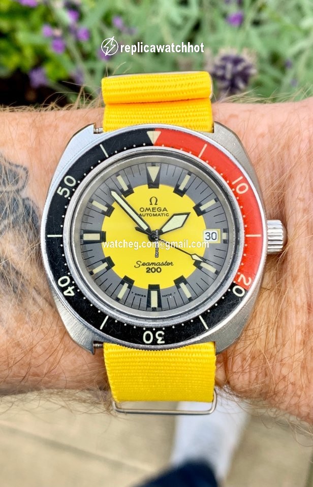 Omega Seamaster Mens watch Unisex Automatic Steel 166.068
