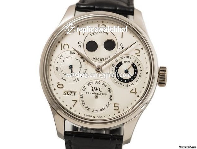 IWC Portuguese Perpetual Calendar Mens watch Unisex Automatic Platinum IW502111