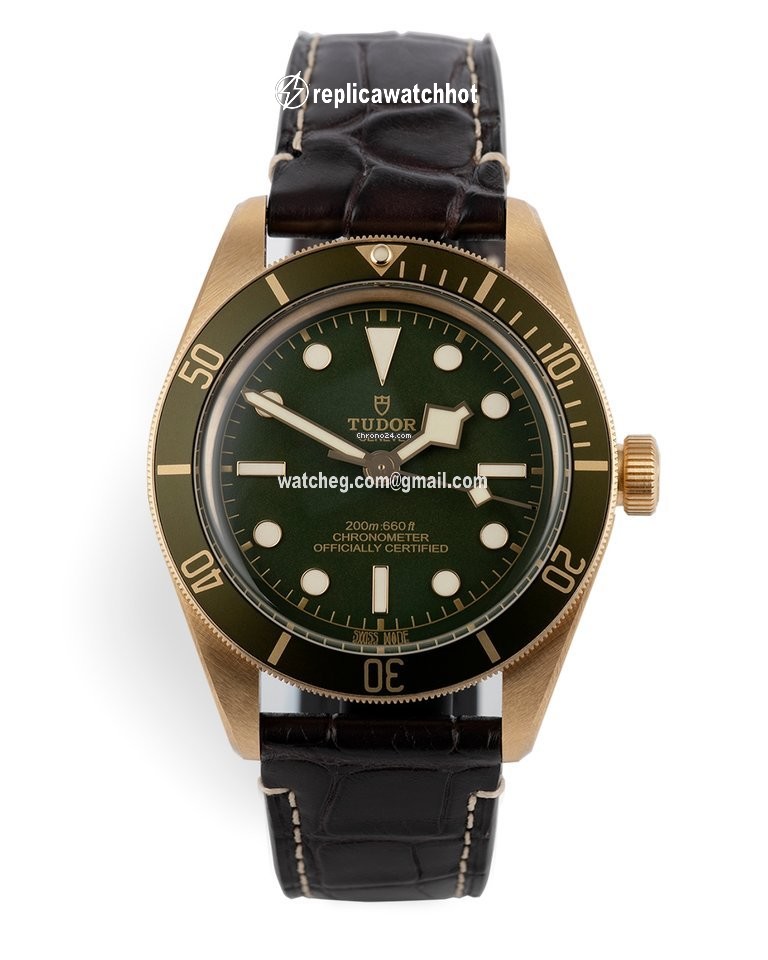 Tudor Black Bay Fifty-Eight Automatic Yellow gold 79018V