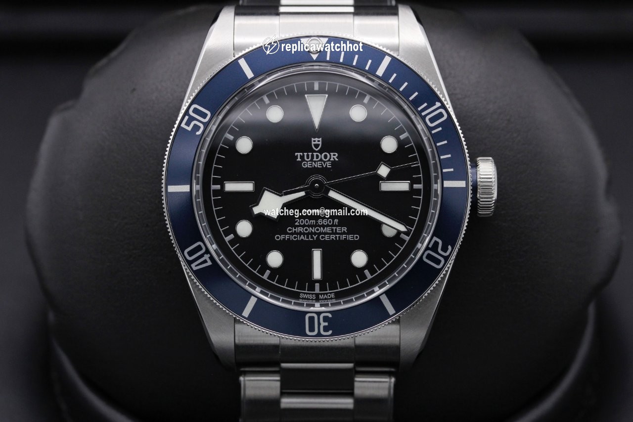 Tudor Black Bay Steel 79230