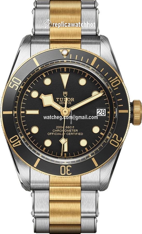 Tudor Black Bay S&G Mens watch Unisex Automatic Steel M79733N-0002