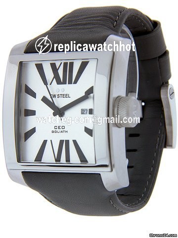 TW Steel Mens watch Unisex Quartz Steel CE3002