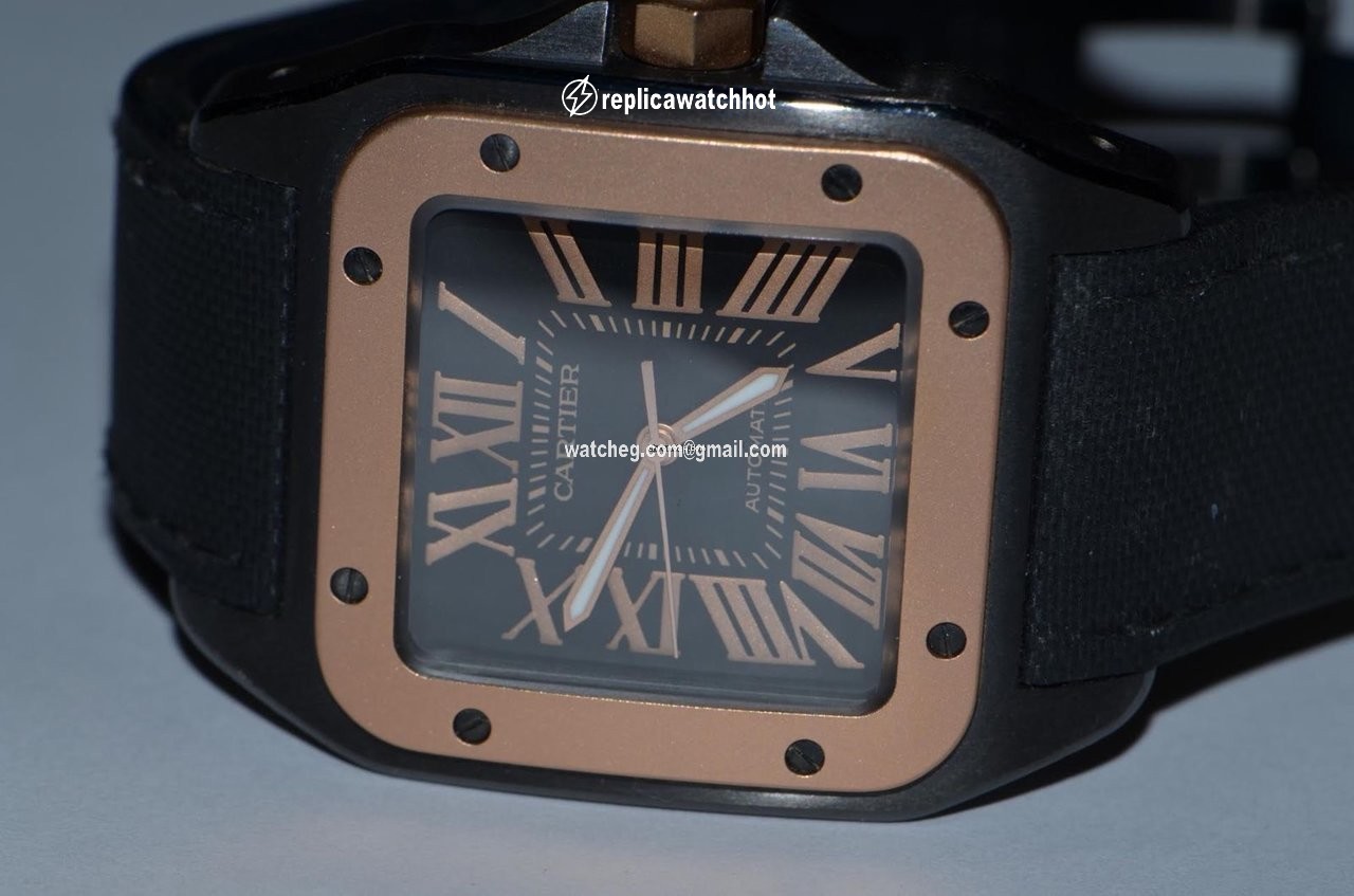 Cartier Santos 100 Mens watch Unisex Automatic Steel W2020007