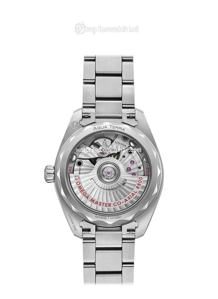 Omega Seamaster Aqua Terra Mens watch Unisex Automatic Steel 220.10.34.20.03.001 2