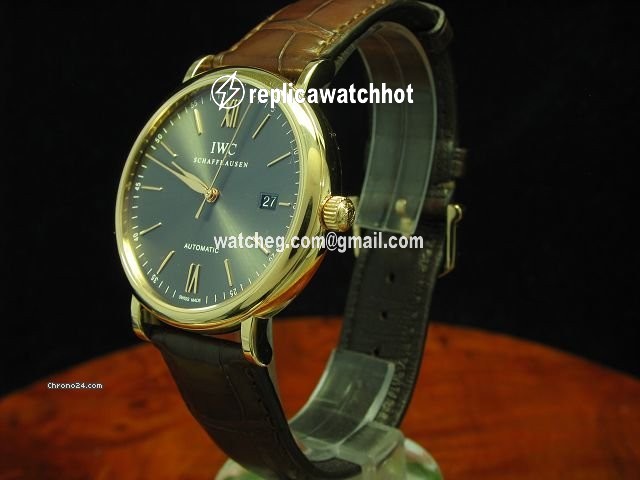 IWC Portofino Automatic Mens watch Unisex Automatic 3565  IW356504 2