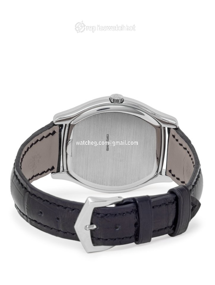 Patek Philippe Perpetual Calendar Mens watch Unisex Automatic Platinum 5040P 2