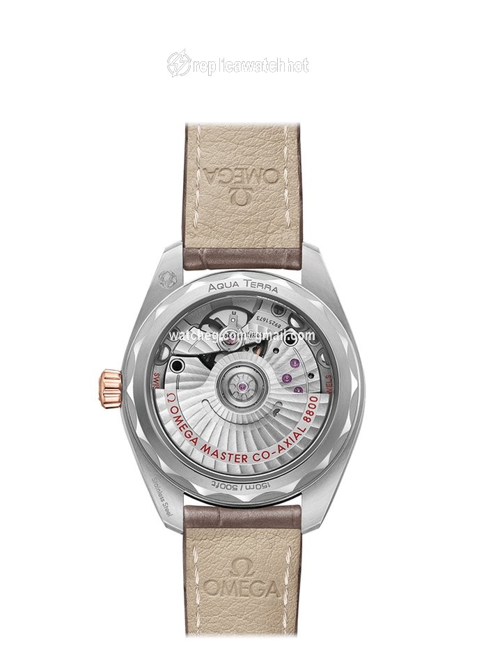 Omega Seamaster Aqua Terra Womens watch Automatic Gold Steel 220.23.34.20.06.001 2