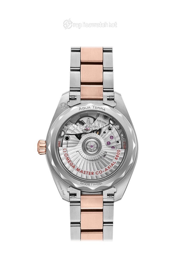 Omega Seamaster Aqua Terra Womens watch Automatic Gold Steel 220.20.34.20.06.001 2