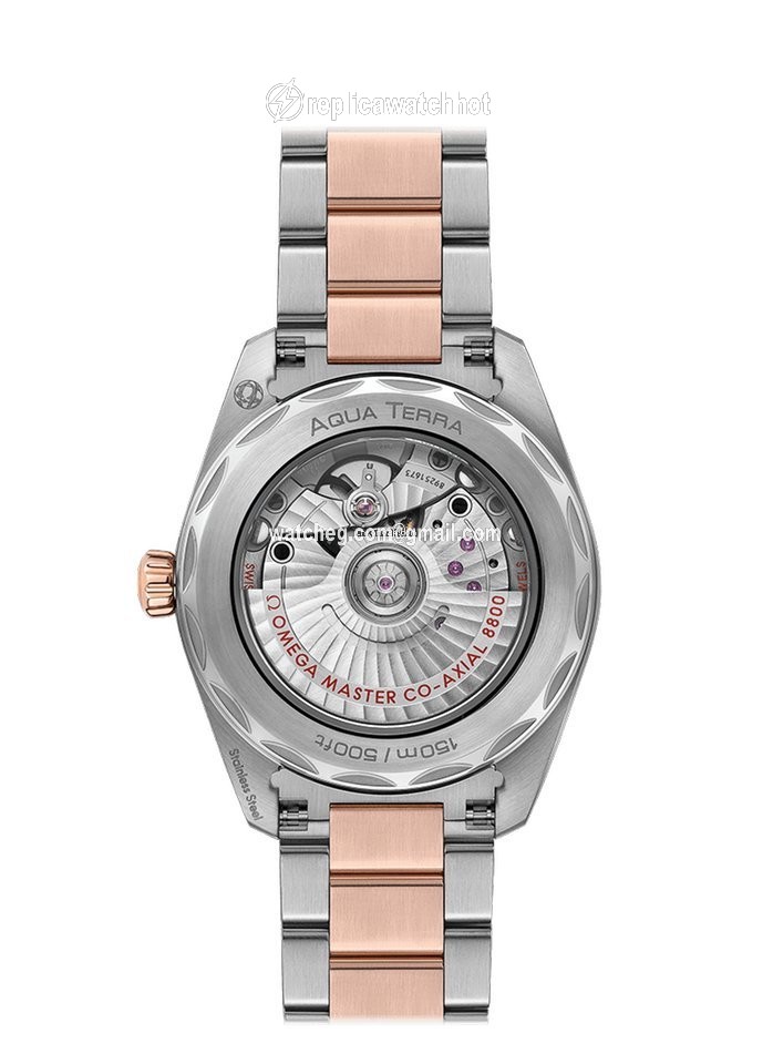 Omega Seamaster Aqua Terra Womens watch Automatic Gold Steel 220.20.38.20.06.001 2