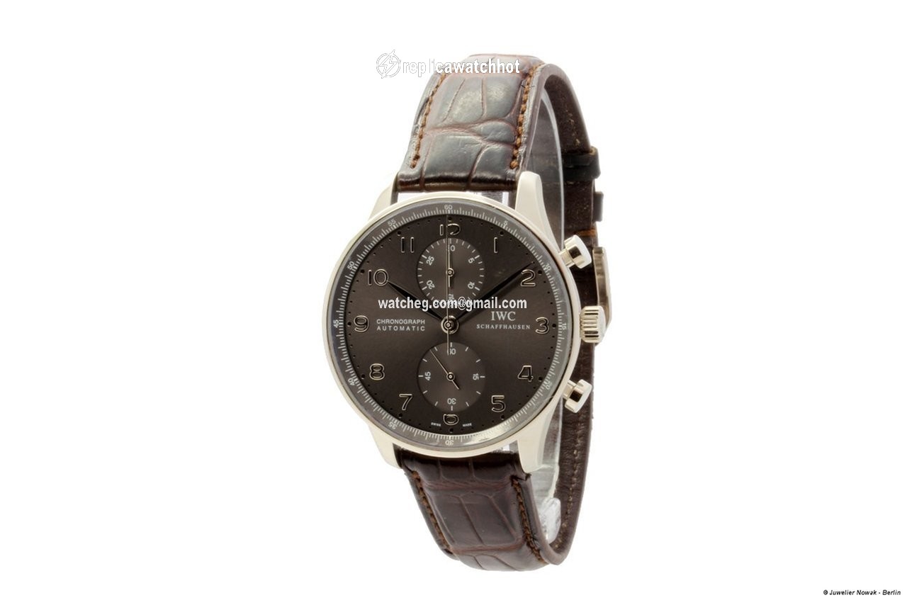IWC Portuguese Chronograph Mens watch Unisex Automatic White gold IW371431 2