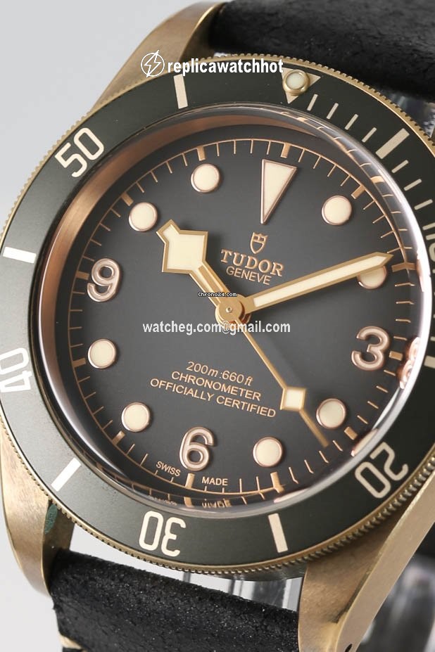 Tudor Black Bay Bronze Mens watch Unisex Automatic Bronze M79250BA-0001 2