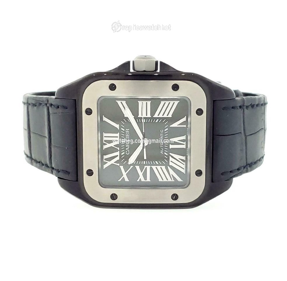 Cartier Santos 100 Mens watch Unisex Automatic Steel W2020010 2