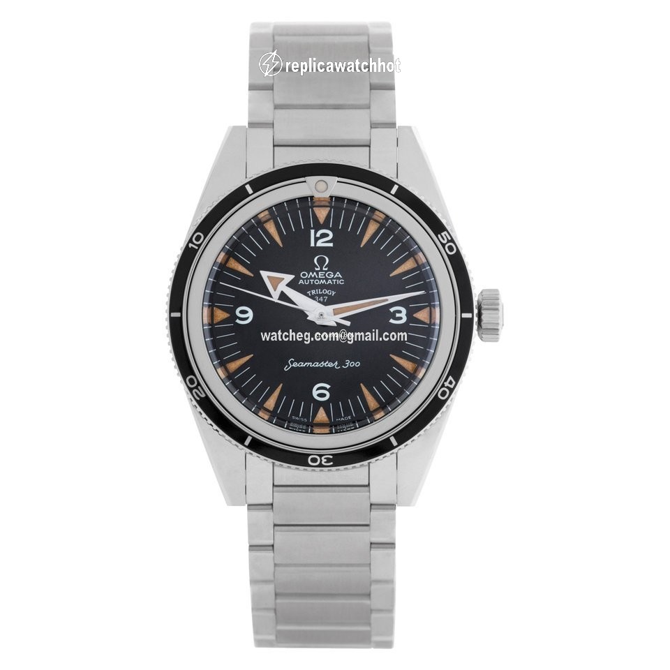 Omega Automatic Steel 234.10.39.20.01.002 2