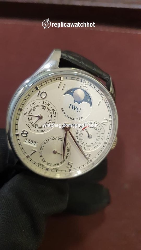 IWC Portuguese Perpetual Calendar Mens watch Unisex Automatic Platinum IW502305 2