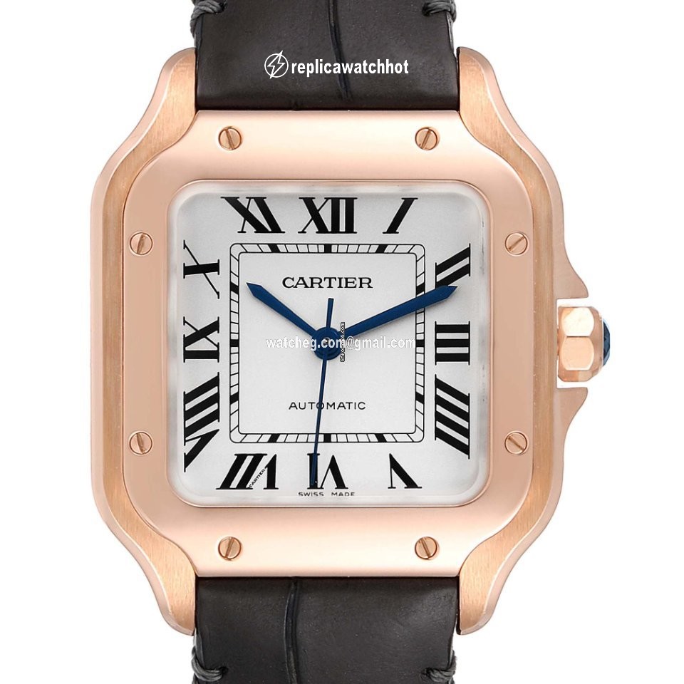 Cartier Santos Mens watch Unisex Automatic WGSA0012 2