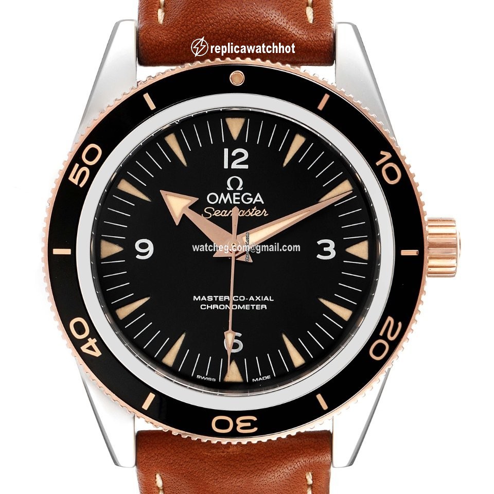 Omega Seamaster 300 Mens watch Unisex Automatic Steel 233.22.41.21.01.002 2