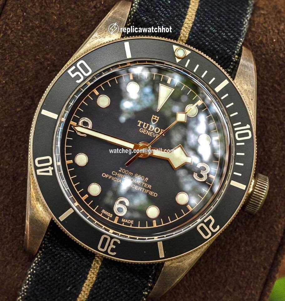 Tudor Black Bay Bronze Mens watch Unisex Automatic Bronze M79250BA 2