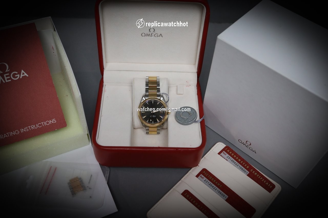 Omega Seamaster Aqua Terra Mens watch Unisex Automatic Gold Steel 231.20.42.21.06.001 2