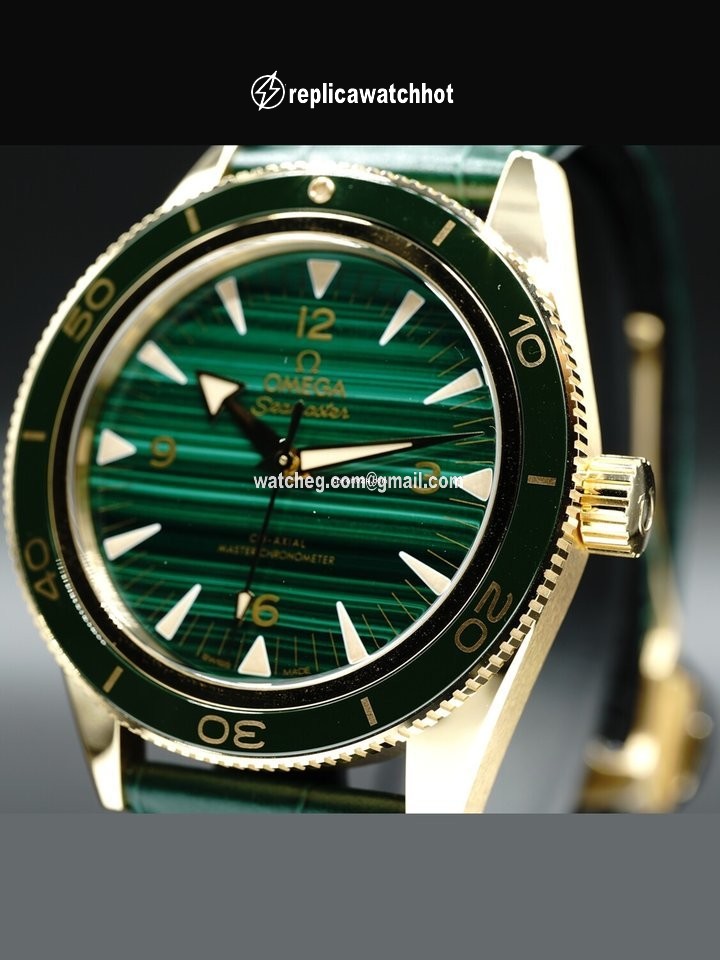 Omega Seamaster Mens watch Unisex Automatic Yellow gold 234.63.41.21.99.001 2