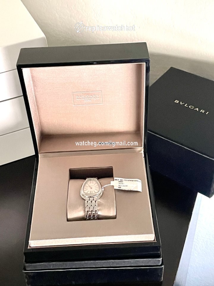 Bulgari Serpenti Womens watch Quartz Steel 103141 2