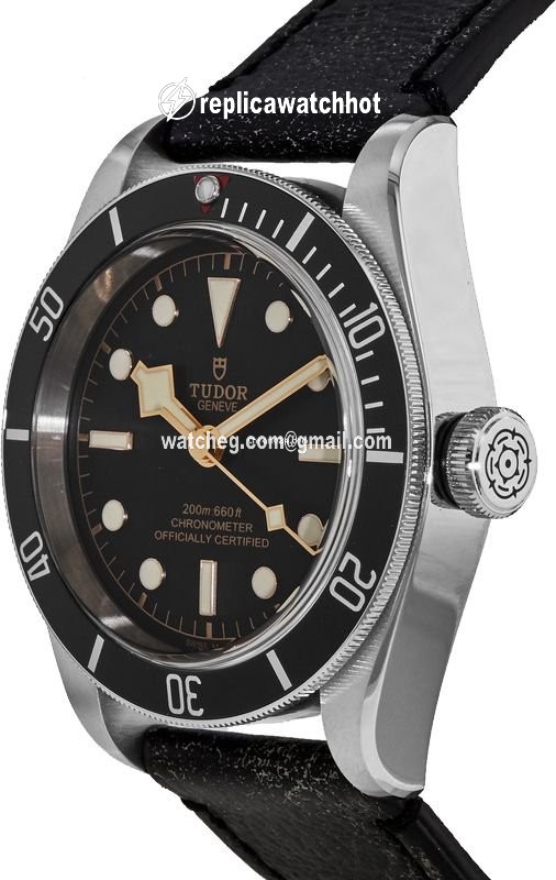 Tudor Black Bay Mens watch Unisex Automatic Steel M79230N-0001 2
