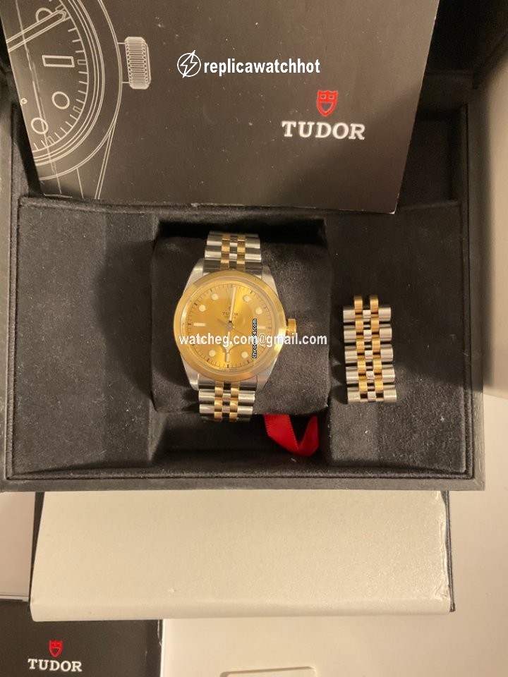 Tudor Mens watch Unisex Automatic Gold Steel 79503-0002 2
