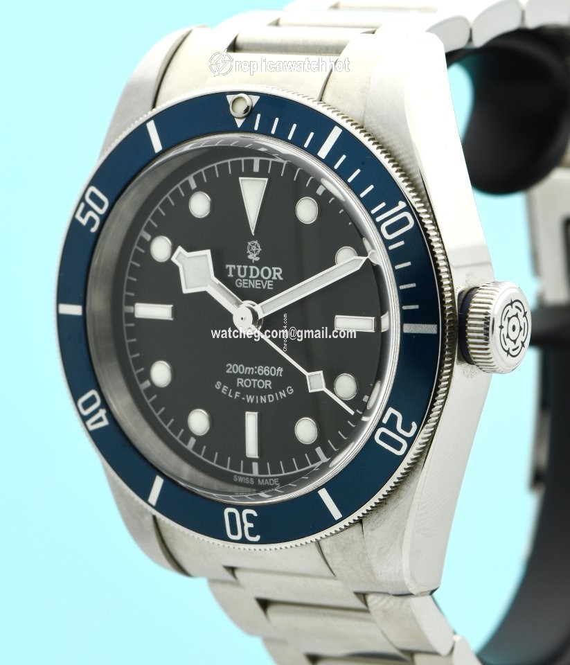 Tudor Black Bay Mens watch Unisex Automatic Steel 79220B 2