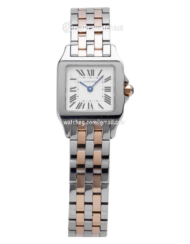 Cartier Santos Demoiselle Mens watch Unisex Quartz Steel W25066Z6 2698 2