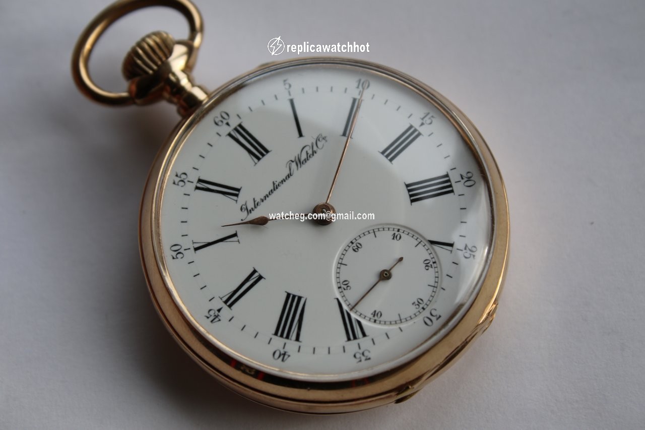 IWC Mens watch Unisex Manual winding Rose gold 310890 2