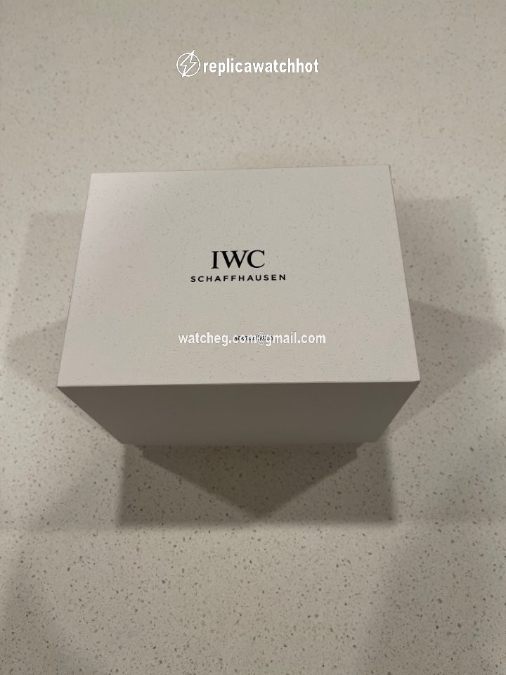 IWC Portofino Chronograph Mens watch Unisex Automatic Steel IW391404 2