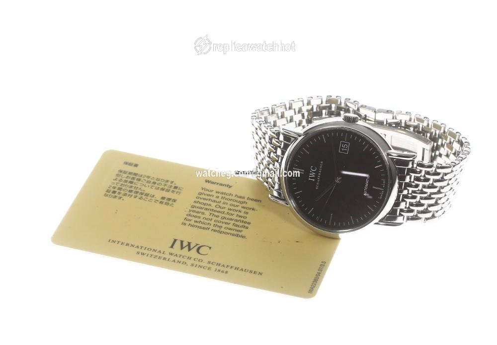 IWC Portofino Automatic Mens watch Unisex Automatic Steel IW353306 2