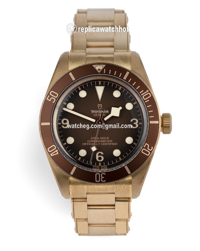 Tudor Black Bay Bronze Automatic Bronze 79012M 2