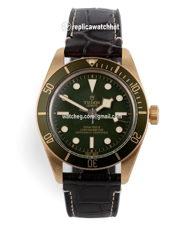 Tudor Black Bay Fifty-Eight Automatic Yellow gold 79018V 2