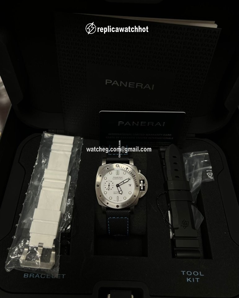 Panerai Automatic Steel PAM 01223 2