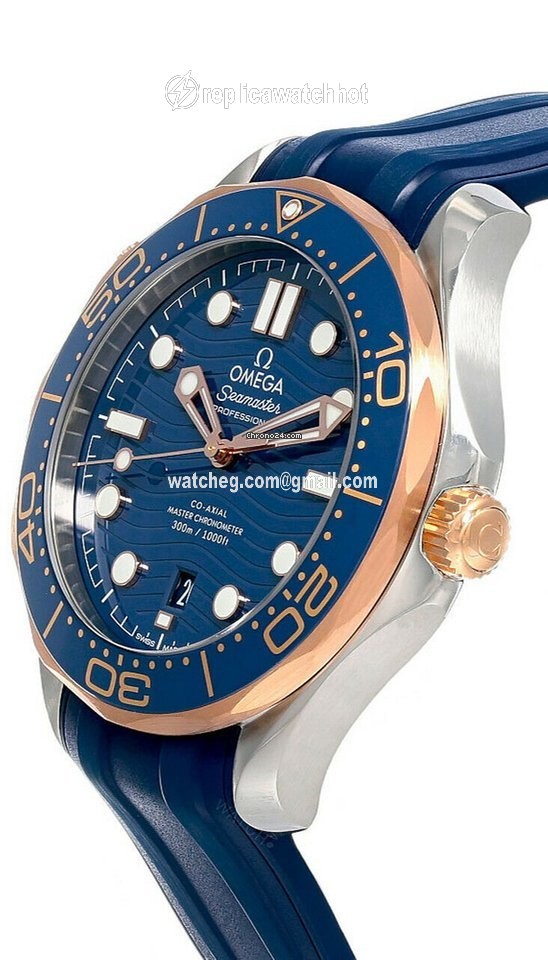 Omega Seamaster Diver 300 M Automatic 210.22.42.20.03.002 21022422003002 2