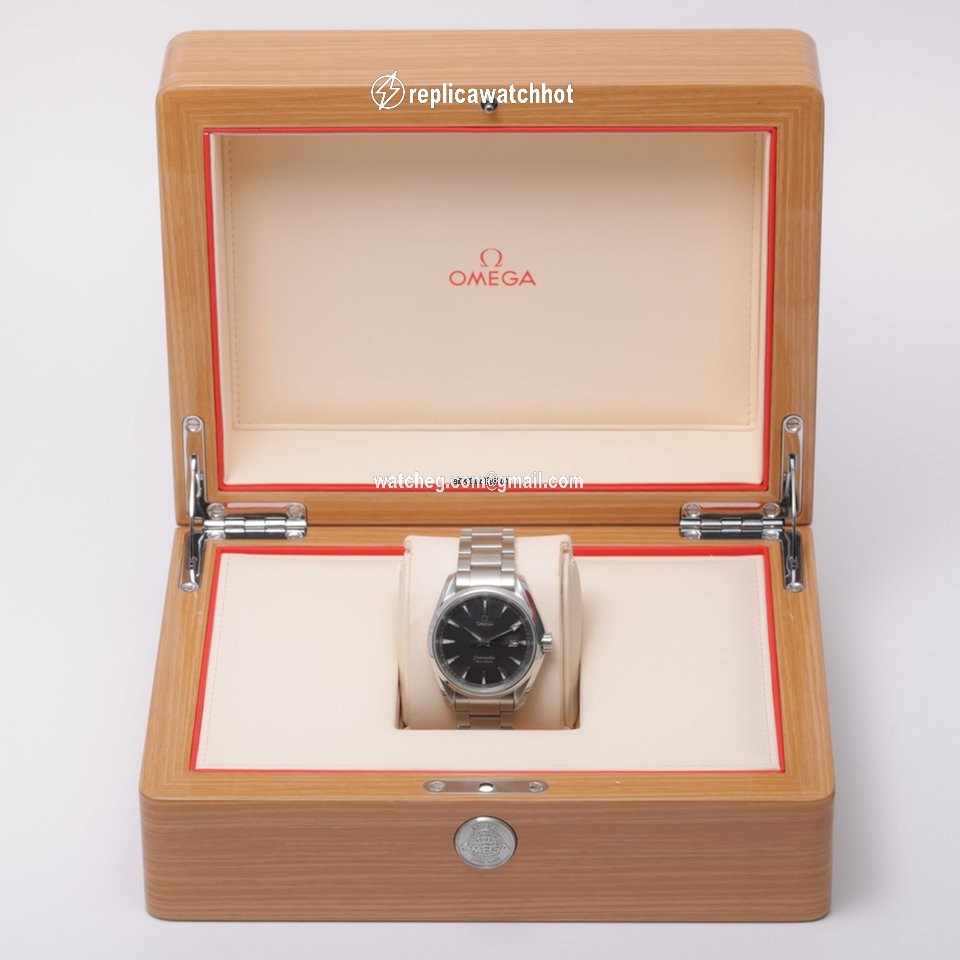Omega Seamaster Aqua Terra Mens watch Unisex Quartz Steel 231.10.39.61.06.001 2