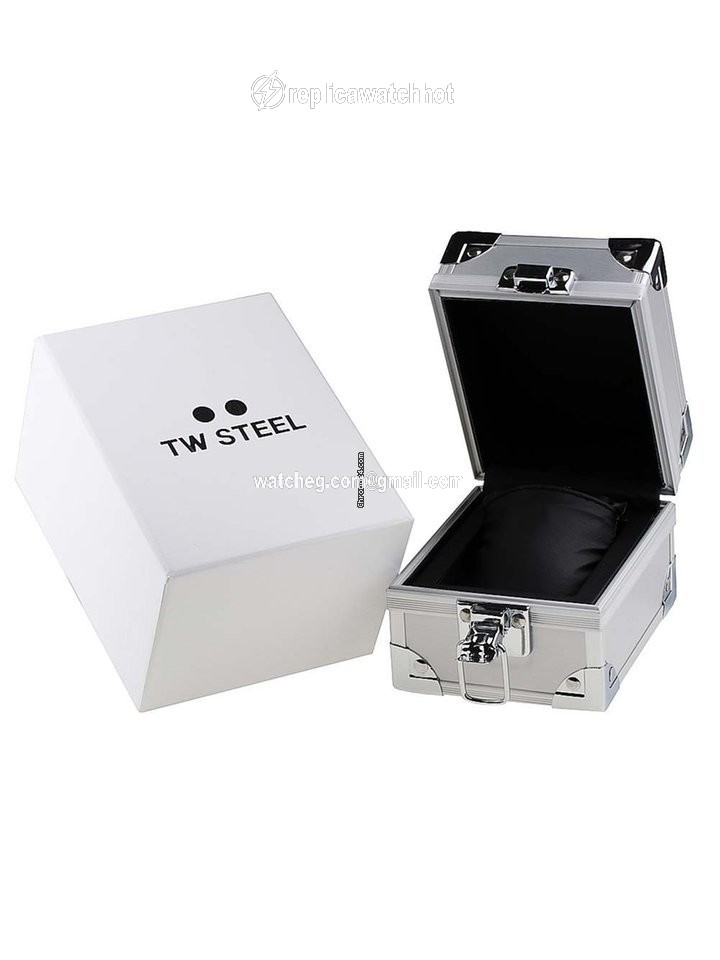 TW Steel Mens watch Unisex Quartz Steel MST13 2