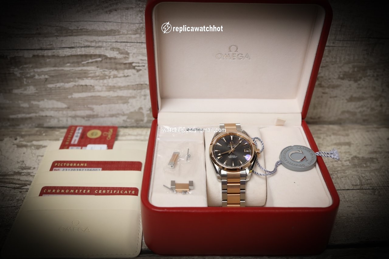 Omega Seamaster Aqua Terra Mens watch Unisex Automatic Gold Steel 231.20.39.21.06.001 2