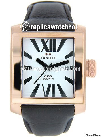 TW Steel Mens watch Unisex Quartz Steel CE3007 2