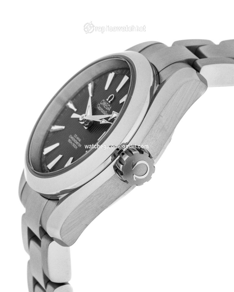 Omega Seamaster Aqua Terra Automatic Steel 231.10.30.20.06.001 2