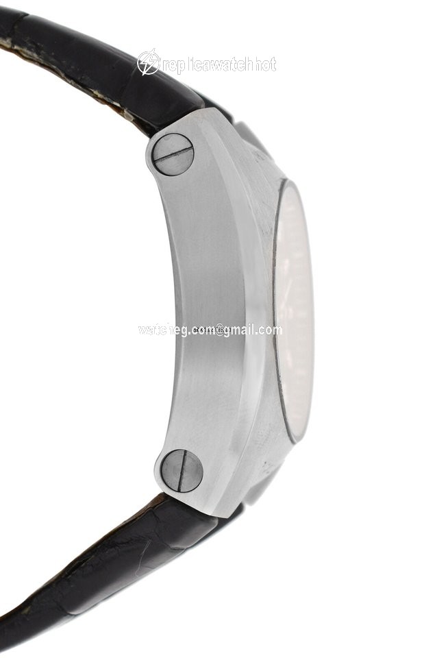 Bulgari Ergon Mens watch Unisex Automatic Steel L6452 2